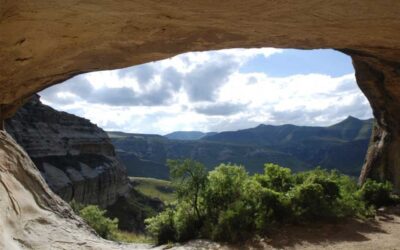 Hikes, Walks & Trails