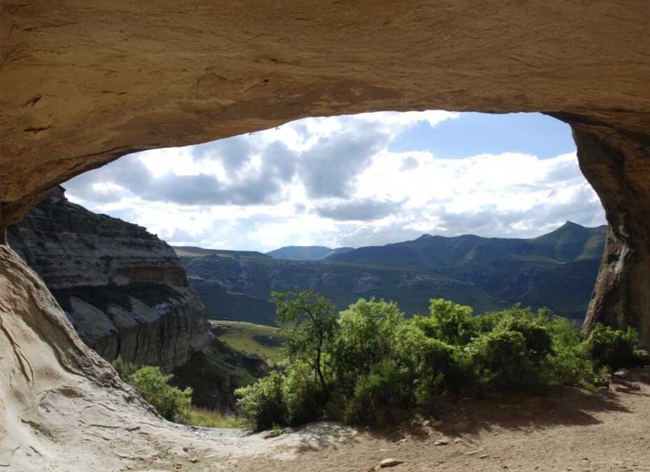 Hikes, Walks & Trails